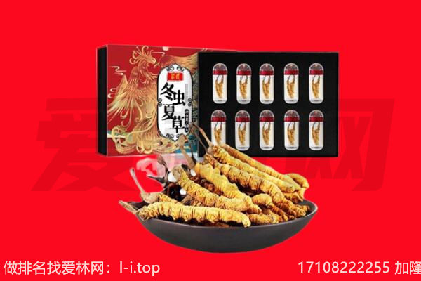 邯郸市涉市回收虫草.jpg